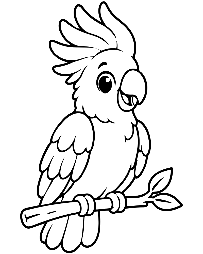 Cockatoo — printable Bird coloring sheet for preschoolers