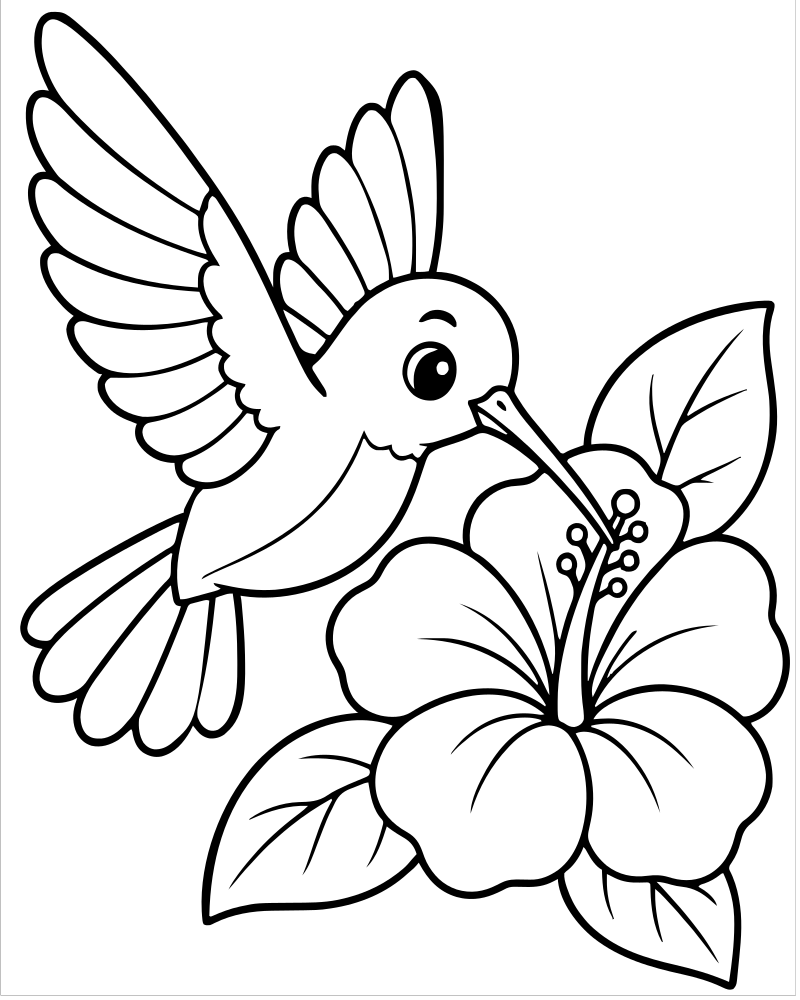 Hummingbird and Flower — Bird coloring page to print for children