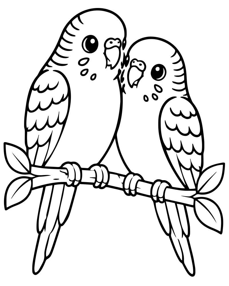 Parakeet Friends — Bird coloring page to print for children