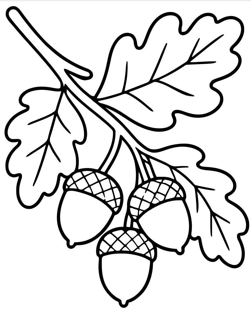 Autumn Branch — printable Fall Leaves coloring sheet for preschoolers