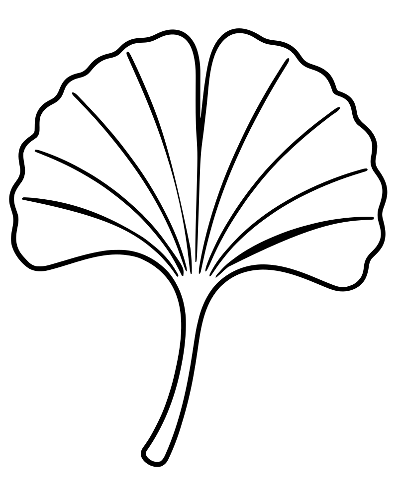 Printable ginkgo leaf line art — Fall Leaves coloring page