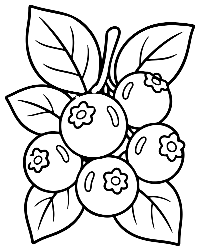 Leaves and Berries — printable Fall Leaves coloring sheet for preschoolers