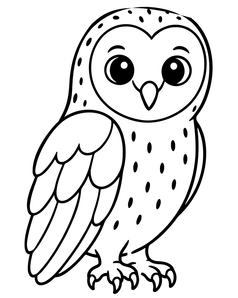 Barn Owl picture to color — Owl coloring page for kids