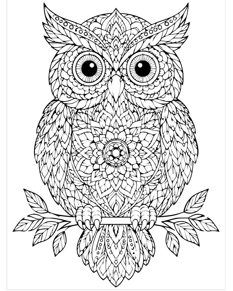 Owl Mandala — printable Owl coloring sheet for preschoolers