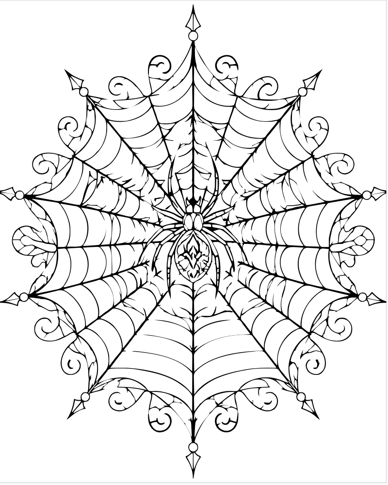 Printable spider web mandala line art — Spider coloring page