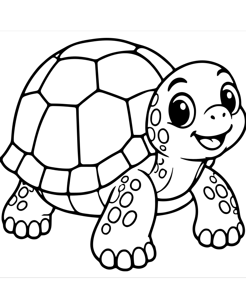 Box Turtle — Turtle coloring page to print for children