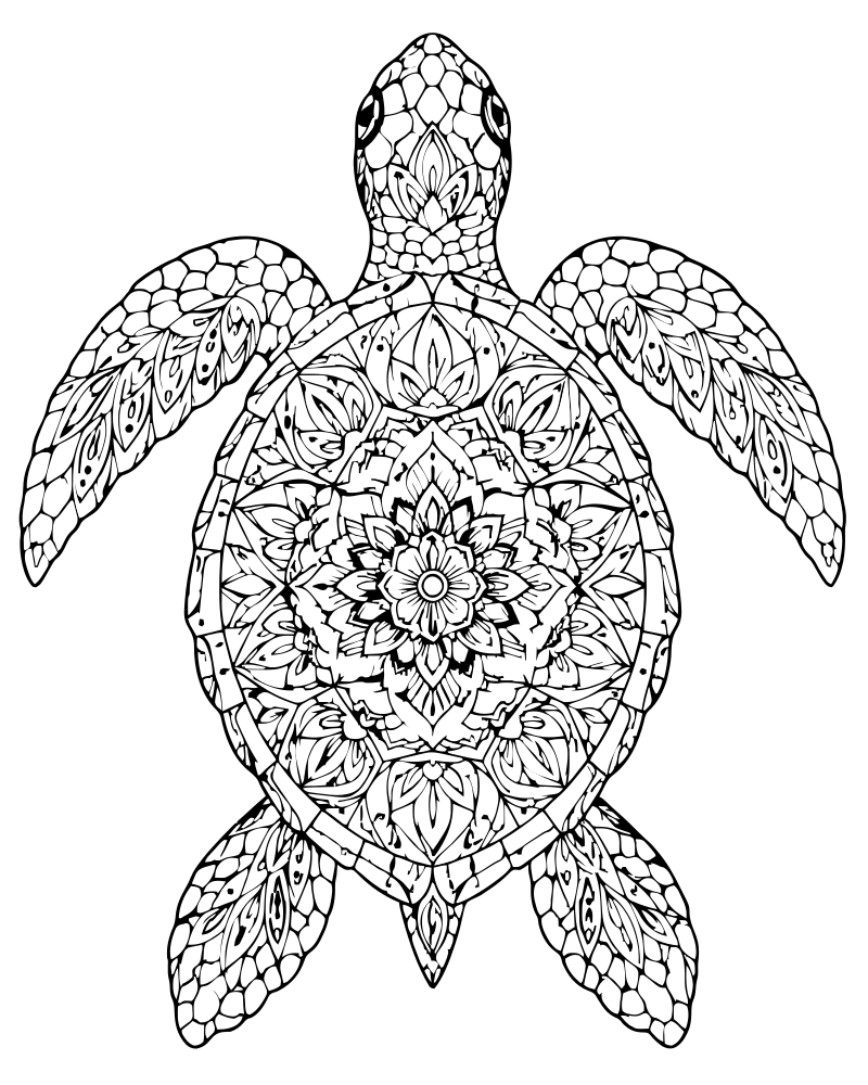 Printable sea turtle mandala line art — Turtle coloring page