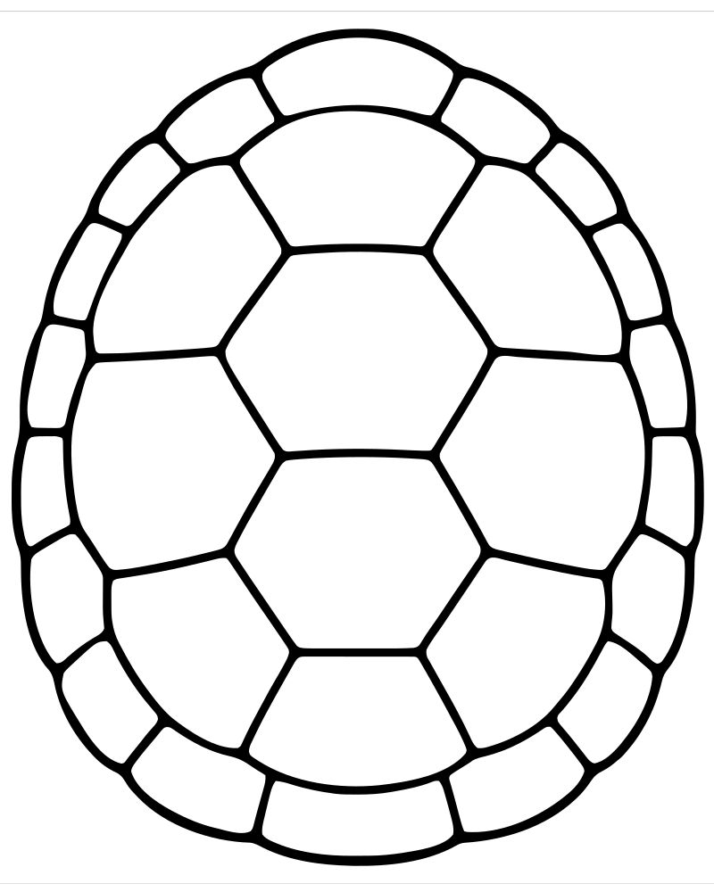 Printable turtle shell close-up line art — Turtle coloring page